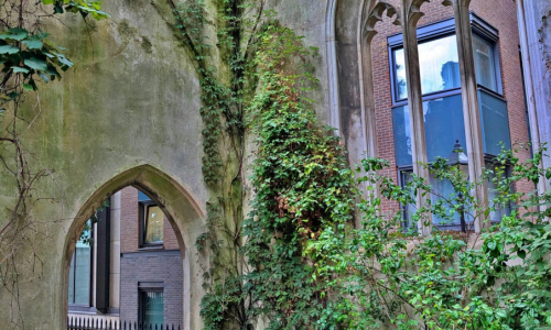 PXL_20250717_173212269