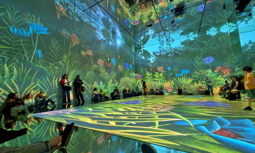 PXL_20250719_112250798