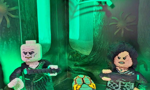 PXL_20250711_160808422