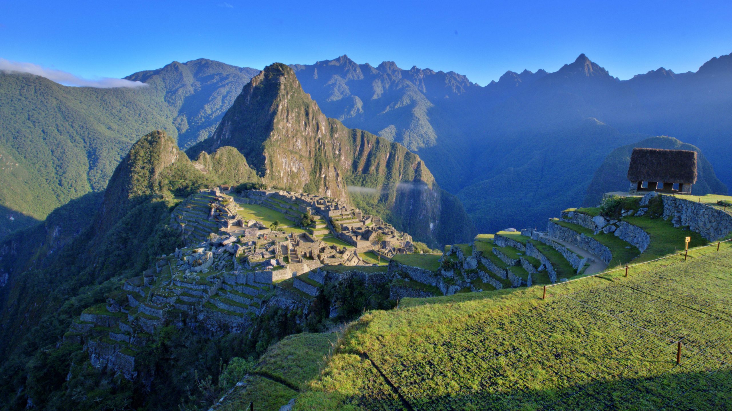 Wayne's World Photography