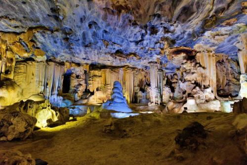 Click to view more pictures