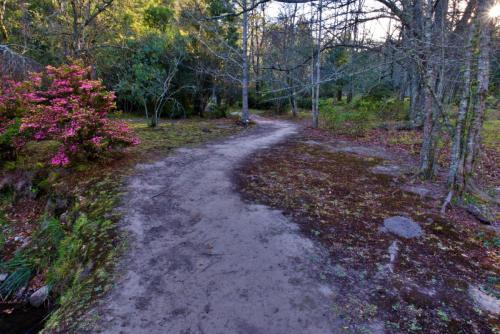 Click to view more pictures