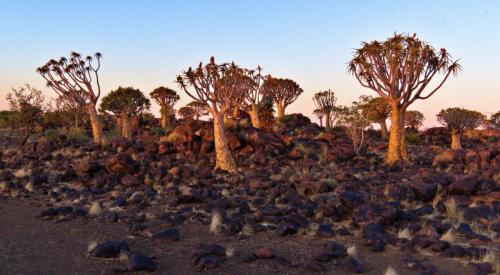 Click to view more pictures