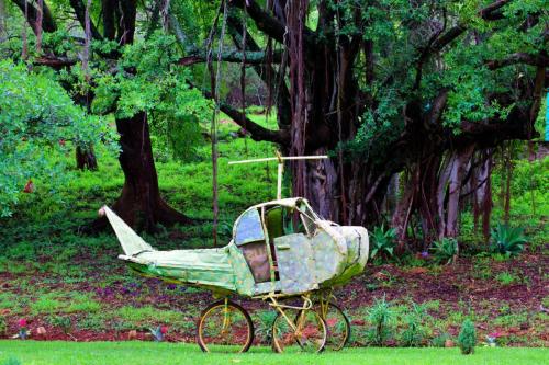 Click to view more pictures