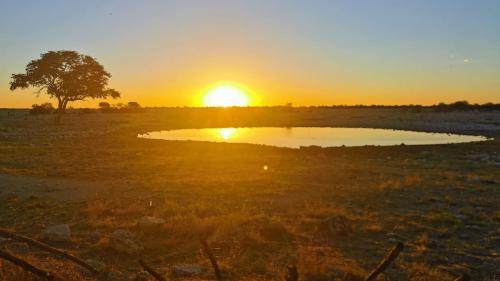 Click to view more pictures